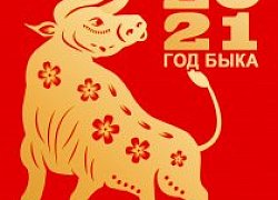 Символ 2021 года - Год Быка